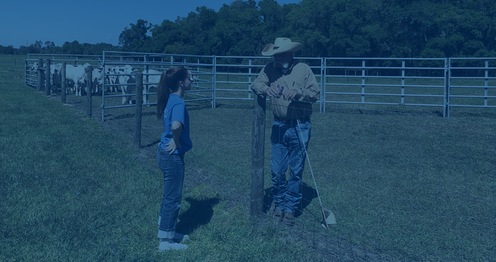 Student talking with professor with cows in background