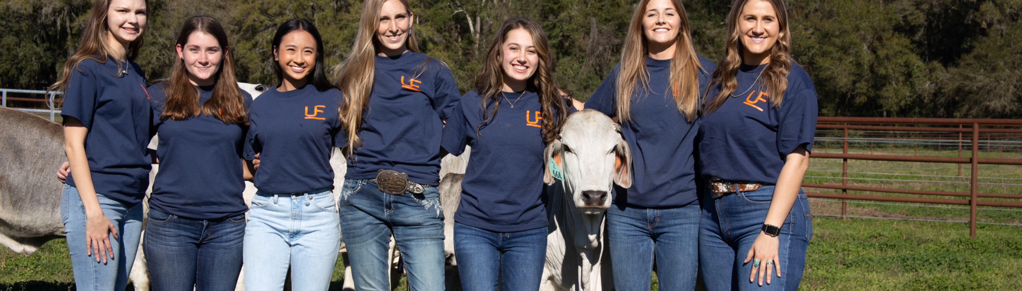 Group of students with brahman cattle in background