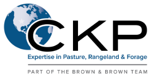CKP Insurance Logo
