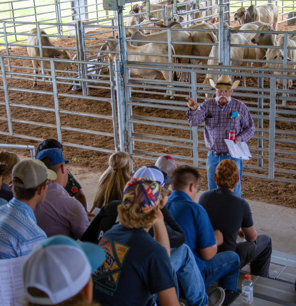 Dr. Thrift teaching outside of cow panels to crowd in bleachers