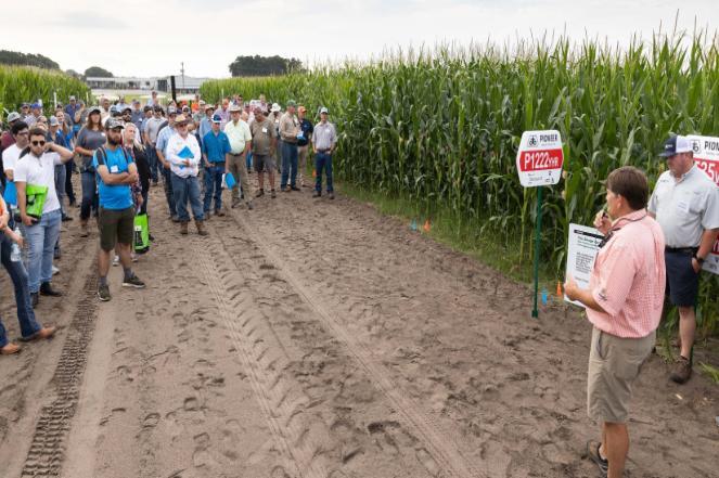 Group of people standing next to corn field