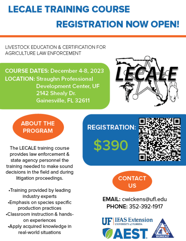 LECALE Flyer