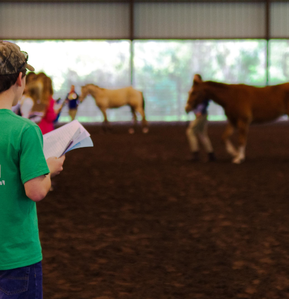 Boy with pad of paper judging horse