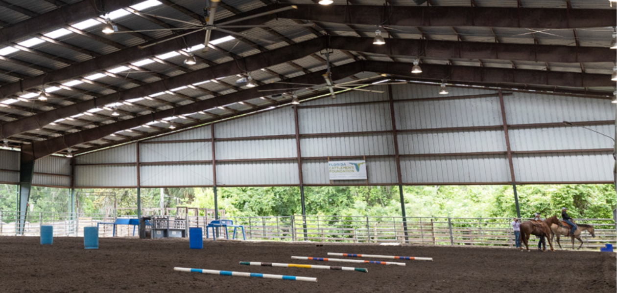 Under the horse teaching unit barn. Snapshot of the arena.