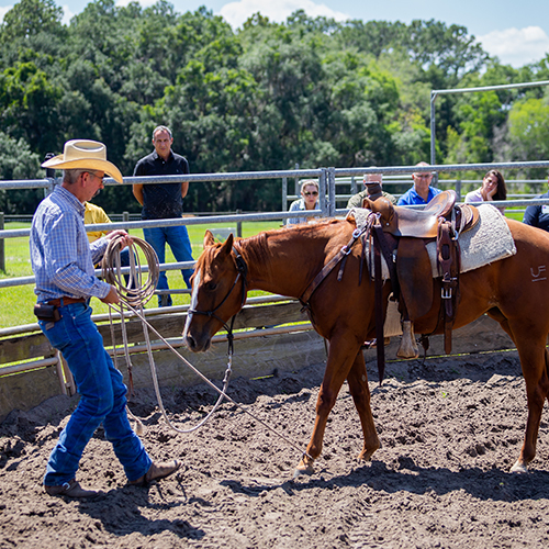 Professor training horse in a round pen while students watch.
