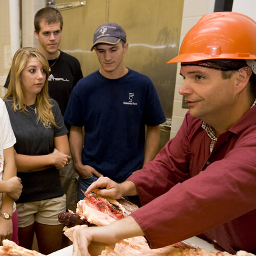 meat processing - Chad Carr and students