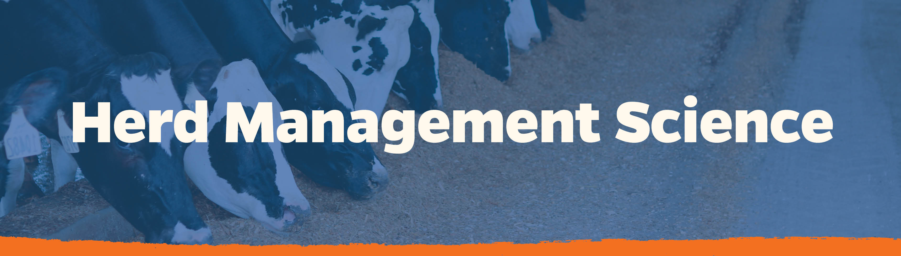 Herd Management Science