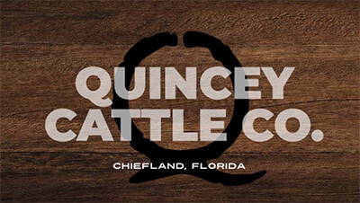 Quincey Cattle Company Logo