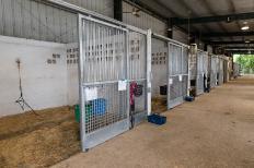 Horse Stalls