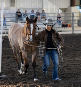 Girl Leading a horse