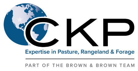 CKP Insurance Logo