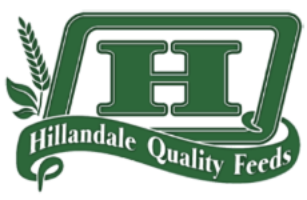 Hillandale Logo