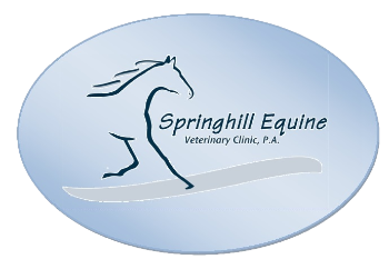 Springhill Equine and Companion Animal Care Clinic Logo